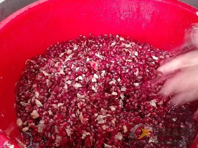 Pomegranate Chopping Show